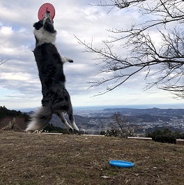  ���΁@�L�[�X�i�{�[�_�[�R���[�j2