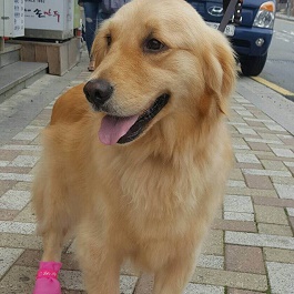 �����_�~�i�S�[���f�����g���o�[ �j2