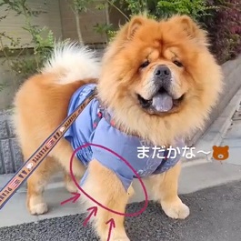 �L���@�J�{�X�i���Ⴄ���Ⴄ�j1 