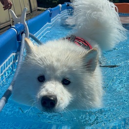 �v�Č����Ȃ��i�T���G�h�j2 