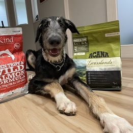  �ԍ�Kronos�i�N���m�X�j�i�����O�h�b�O�j2 