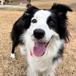 mana�i�{�[�_�[�R���j