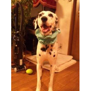 �}�[���[�i�_�����V�A���j2