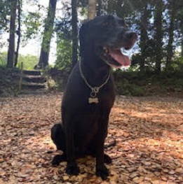 Keys���[�L�[�i�{�[�_�[�R���[�j�j 