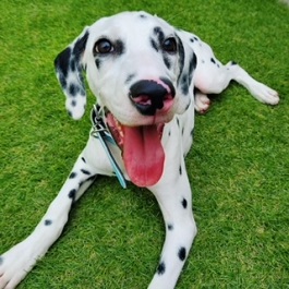 �n���j�i�i�_�����V�A���j