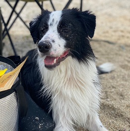 Keys���[�L�[�i�{�[�_�[�R���[�j�j 