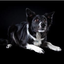 �c���@�������i�{�[�_�[�R���[�@�j 2 