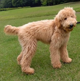 ���C�i�X�^���_�[�h�v�[�h���j2