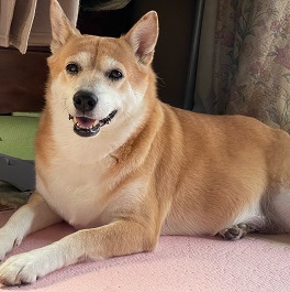 �씩������i�G��j 