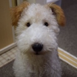 ���Ȃ�@���񂽁i���C���[�t�H�b�N�X�e���A�j