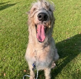 �q��e�B�G���i�A�C���b�V���E���t�n�E���h
�j 1 