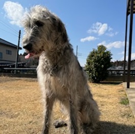 �q��e�B�G���i�A�C���b�V���E���t�n�E���h�j