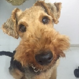 ���Ȃ�@�E�[�����i���C���[�t�H�b�N�X�e���A �j