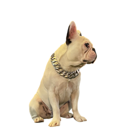 Morty�i�t�����`�u���h�b�O�j2 |