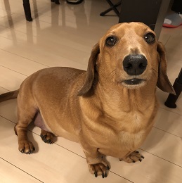  ���J�A��(�~�j�`���A�_�b�N�X�t���g)2