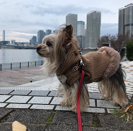  ��{�@�������i���[�N�V���e���A)|2|