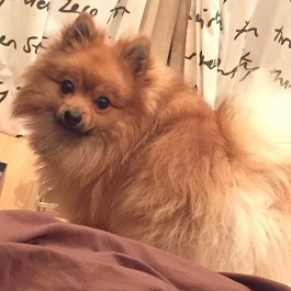 �}���|���@�i�|�����j�A���j2