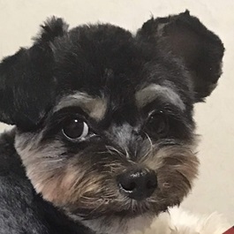 �V�с@�`�b�v�iMIX�j|2