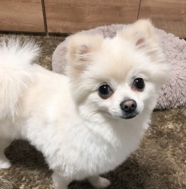 �r��`���i�|�����j�A��)1