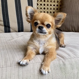 ���cCOCO�i�����O�R�[�g�`����)2