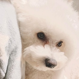  �⌳�啟�i�r�V�����t���[�[)2