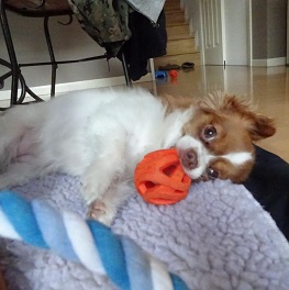  ����G���iMIX)2