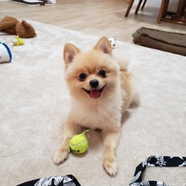 ��{��i�|�����j�A���j2 |