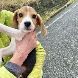 ����O���i�r�[�O��) 2