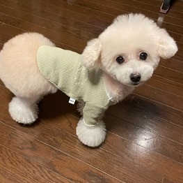 �����͂ȁi�g�C�v�[�h���j2