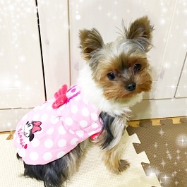 �c�� �؁@�i���[�N�V���E�e���A�j1