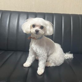 �W���b�L�[�i�}���`�[�Y�j1 |