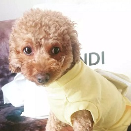  �c��Calbee

�i�g�C�v�[�h��)|2