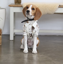  �r�c�P�`���b�v

�i�r�[�O��
)|2