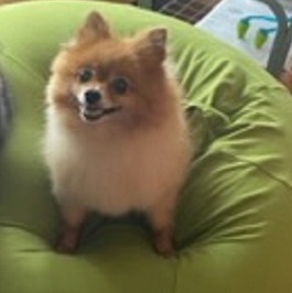 �O��Ȃ��i�|�����j�A���j1