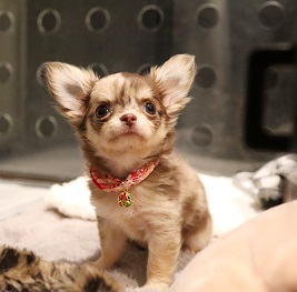  �₷���@������@�i�`����)2