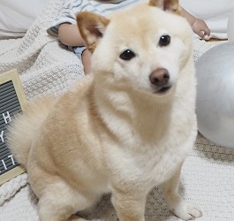 �������͂����āj  |2