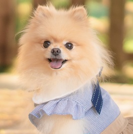 �c�����ނ��o�|�����j�A���j  1