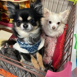 ����܂�i�`����)2