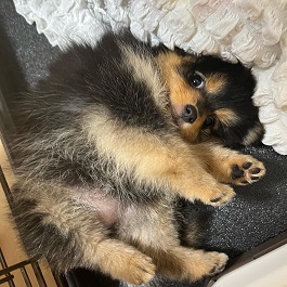  ���ق��������i�|�����j�A��)|2