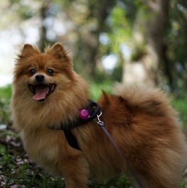 �J�L�������i�|�����j�A���j2 |