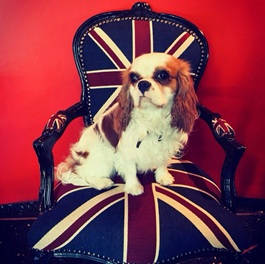 �܂��i�L���o���A�j2 |