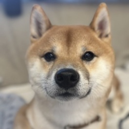 �����i�āj2 |