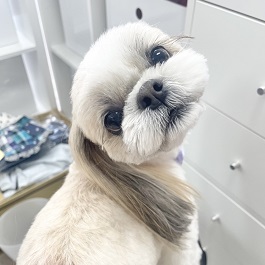 ꠁ@�܂񂽂낤�i�V�[�Y�[�j|2