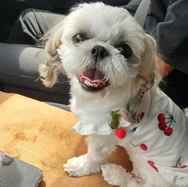 �}�����i�V�[�Y�[�j2 |