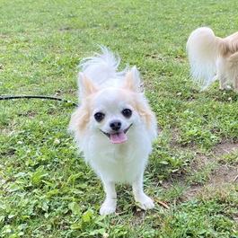 ��c�܂�i�`�����j |1