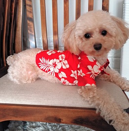 ����@�܂邱�i�g�C�v�[�h��)2