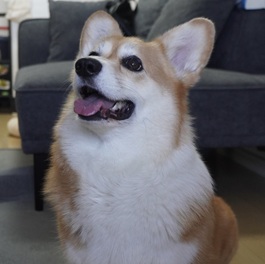 ���C���C�i�E�F���V���R�[�M�[�j2 |