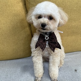 ���у��J�i�g�C�v�[�h���j2 |