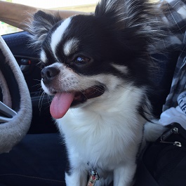 ��˂ނ��@�i�`����)  2