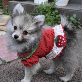 ���d�l�l�i�|�����j�A���j 2